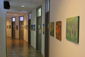 Hodnik s slikami v prostorih CSD z druge strani